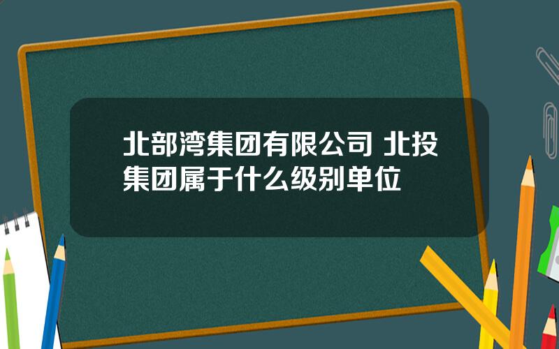 北部湾集团有限公司 北投集团属于什么级别单位